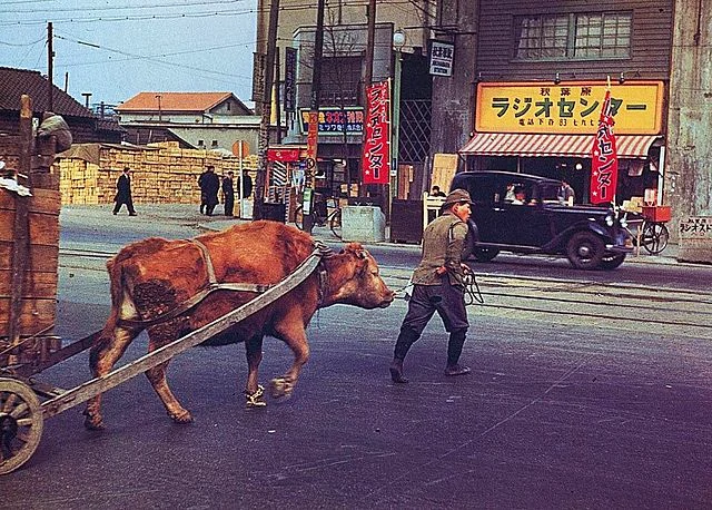 Akihabara 1950 Radio Center Showa Era