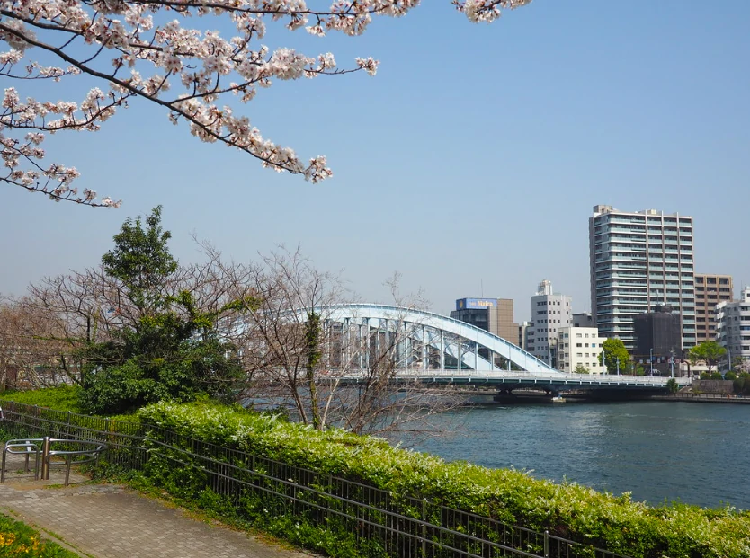 Sumida Park Asakusa Japan Tokyo